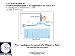 Whispering Gallery Mode Biosensor 007.JPG
